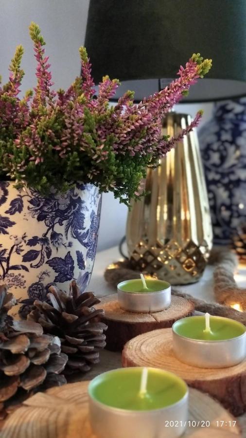 Apartament Z Klasa - Gorajowka Kowary Dış mekan fotoğraf